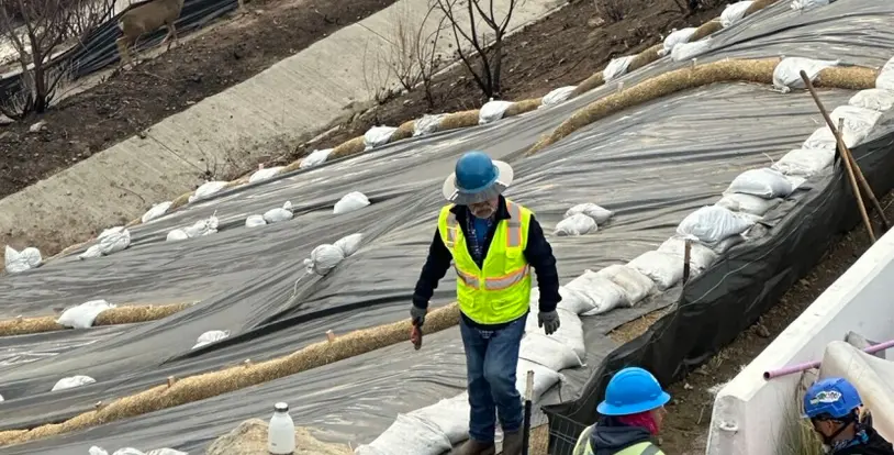 BrightView team member wildfire destruction landscape